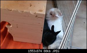 M�nnlich, ledig, jung sucht ....-20140718_175314.jpg