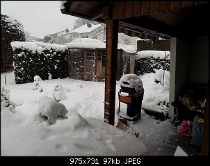 Die geliebten Ungewollten-img_20141229_140023.jpg
