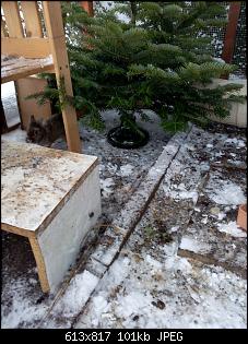 Die geliebten Ungewollten-img_20141230_150504.jpg