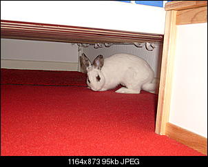 Bilder von Kiwi & Lilly-s7301076.jpg