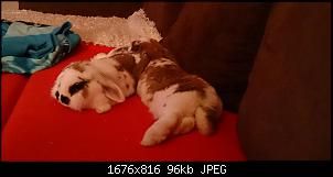 wackelnasen gro� und klein-img_20150204_220154.jpg