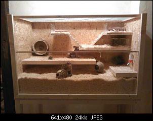 Melanie und ihre Rasselbande-k640_img-20150213-wa0008.jpg