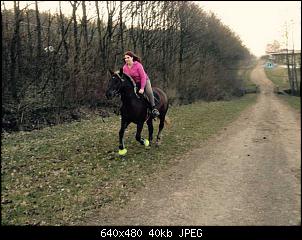 Melanie und ihre Rasselbande-k640_img-20150316-wa0006.jpg