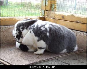 Minnie und Raj-vgg255.jpg