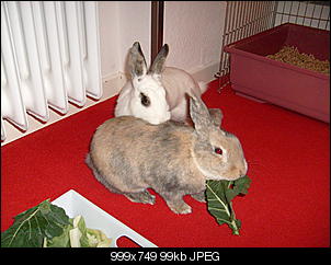 Bilder von Kiwi & Lilly-s7301092.jpg