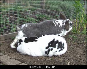 Minnie und Raj-vgg268.jpg