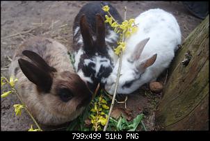 Unsere bunte Truppe-006.jpg