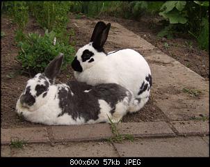 Minnie und Raj-vgg275.jpg
