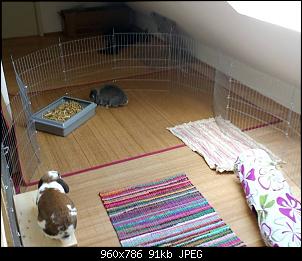 Das M�dchen und die Knutschkugel =)-11216452_837057049664135_1347331910_n.jpg