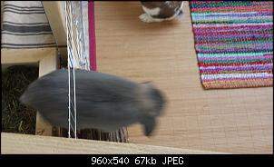 Das M�dchen und die Knutschkugel =)-11297637_838693089500531_911071789_n.jpg