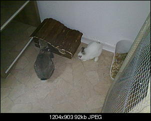Patrick und Caoilainn stellen sich vor-16102010237.jpg