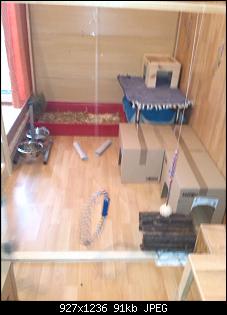 So dann will ich jetzt auch mal :-)-img_20150109_152718.jpg
