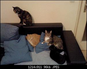 So dann will ich jetzt auch mal :-)-dsc01455.jpg