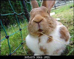 Die Murgelkinder-frida-4.jpg