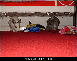 Aus 2 mach 4 oder das Hamburger Quartett-s7301156.jpg