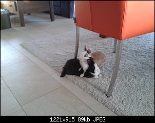 Darf ich vorstellen...Rita und Herbert-20140324_173427.jpg