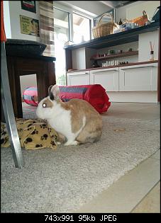 Darf ich vorstellen...Rita und Herbert-img_20150613_190602.jpg