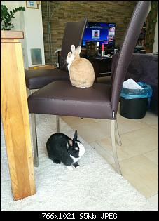 Darf ich vorstellen...Rita und Herbert-img_20150614_095703.jpg