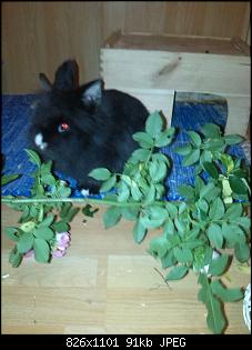 So dann will ich jetzt auch mal :-)-img_20150607_015052.jpg
