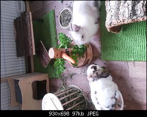 Ronja und Ben m�chten Hallo sagen-20150628_181925.jpg