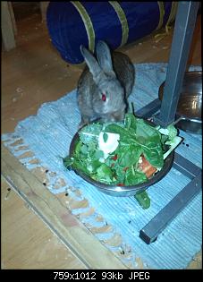 So dann will ich jetzt auch mal :-)-img_20150629_000853.jpg