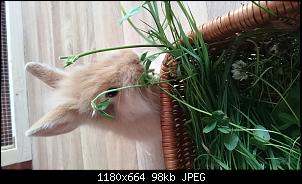 Gro�e Abenteuer f�r kleine Pl�schpopos-dsc_0699.jpg