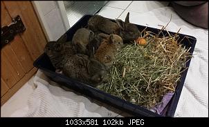 Familie Kunterbunt & Ich :)-20150307_230041.jpg