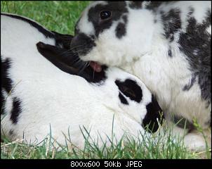 Minnie und Raj-vgg307.jpg