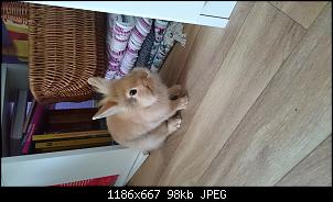 Gro�e Abenteuer f�r kleine Pl�schpopos-dsc_0737.jpg