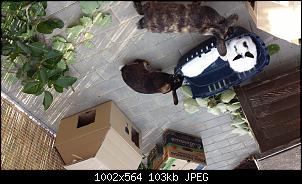 Jetzt mal offizielle Vorstellung mit Fotos-20150808_092857.jpg