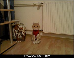 So dann will ich jetzt auch mal :-)-dsc01243.jpg