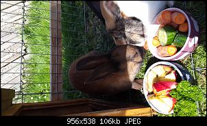 Hallo aus Th�ringen ❤-20150603_163411.jpg