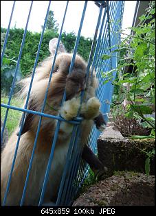 Die Murgelkinder-fred423815.jpg