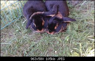 Vorstellung :)-20150818_174935.jpg