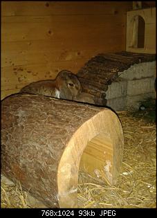Vorstellung :)-img-20150904-wa0016.jpg