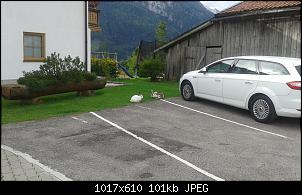 1000 & eine M�hre-20150916_092308.jpg