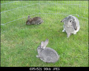 Neuvorstellung-cimg4498.jpg