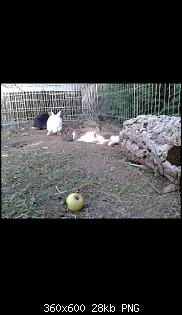 Vorstellung :)-screenshot_2015-09-30-20-26-11.jpg