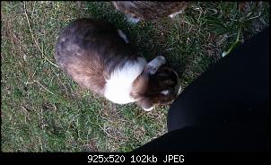 Meine Ninchen und ich-20151003_172728.jpg