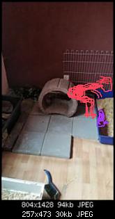 M�nnlich, ledig, jung sucht ....-1.jpg