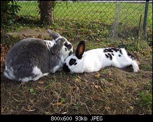 Minnie und Raj-vgg321.jpg