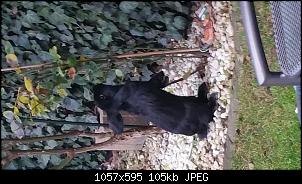 VG Speedy und Black Angel-20151106_162422.jpg