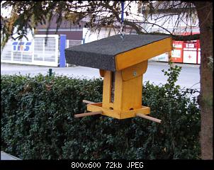 Minnie und Raj-vogel08.jpg