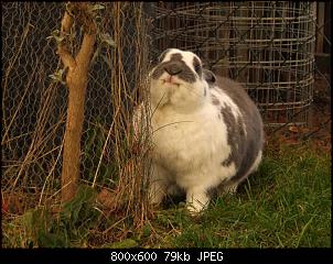 Minnie und Raj-raj246.jpg