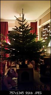 M�nnlich, ledig, jung sucht ....-2015-11-30-11.34.31.jpg