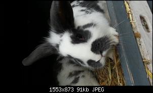 Jenny und die Ninis-20151203_144243%5B1%5D.jpg