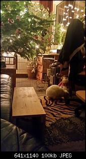 M�nnlich, ledig, jung sucht ....-2015-12-03-21.32.43.jpg