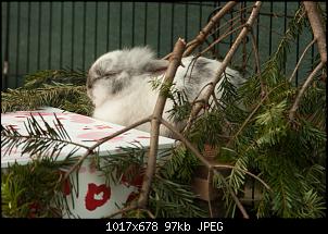 Endlich auch dabei :)-_mg_6035-4.jpg