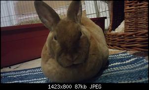Hallo aus dem Allg�u .......-20151219_164722.jpg