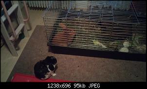 Hallo aus dem Allg�u .......-20151219_164535.jpg